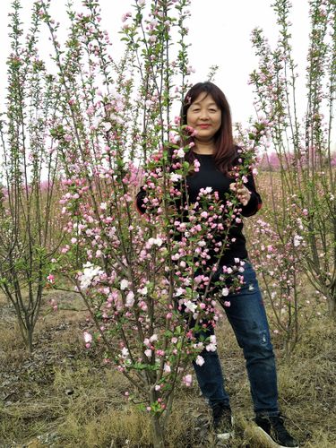 安州区乐兴镇百花园赏花.