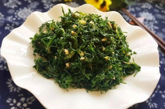 春天野菜赛过肉!这些美味野菜做法,吃起来真的又嫩又甜