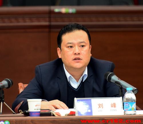 副总经理刘峰讲话