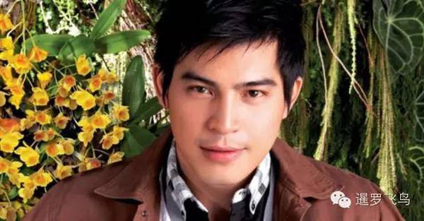 泰国明星por登革热医治71天无效去世