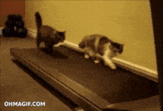 233_159gif 动态图 动图
