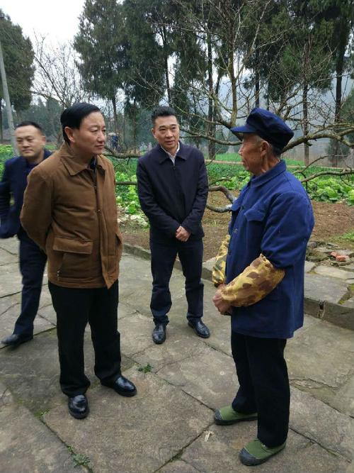 南充市政务服务中心主任杨积义陪同南充市领导到阆中市思依镇督导精准