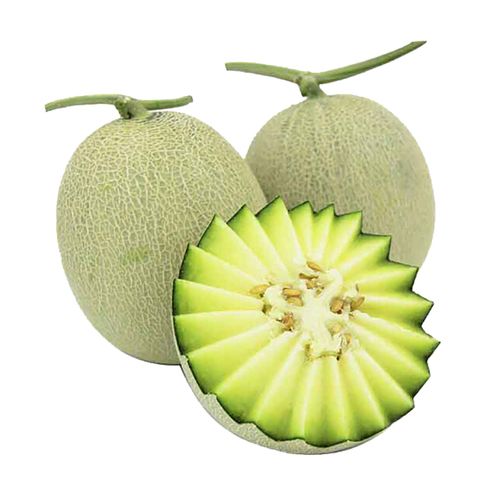 网纹瓜 海南网纹瓜 2枚 约4.