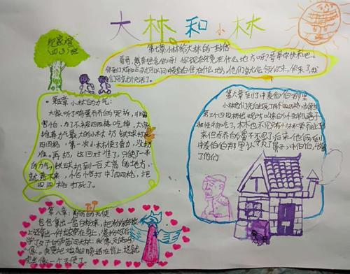 兴盛丽景小学四三班——《大林和小林》5-8章手抄报作品