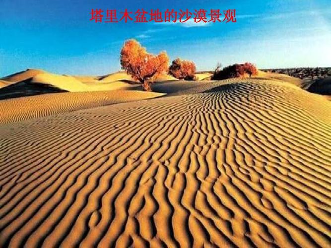 塔里木盆地的沙漠景观