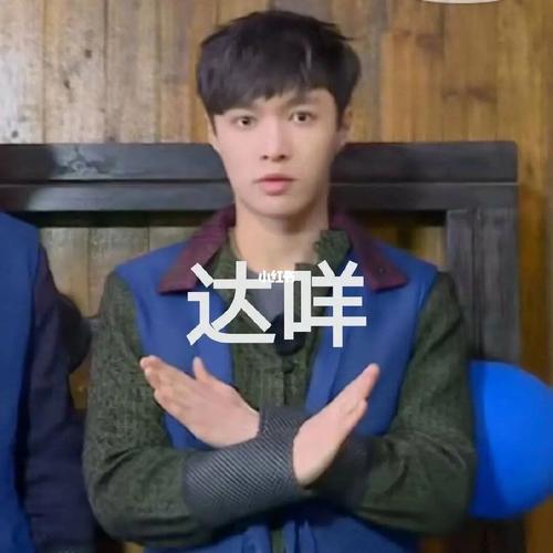 张艺兴表情包1
