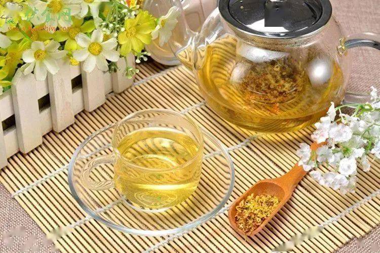 秋季养生在"润",这几种茶降秋燥!