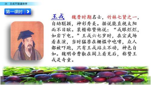 部编四年级语文(上册)第25课《王戎不取道旁李》精讲