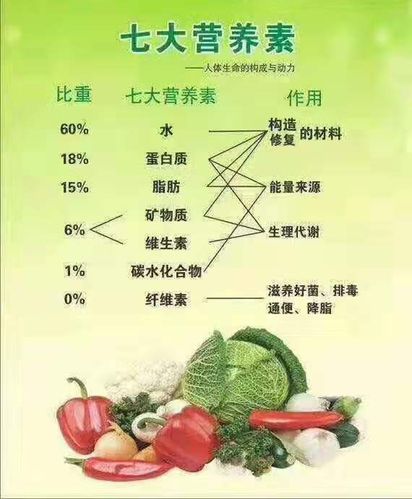 七大营养素之蛋白质