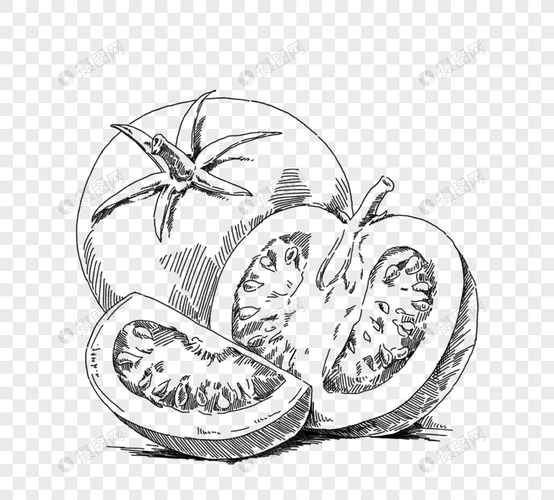 切西红柿黑白手绘线描