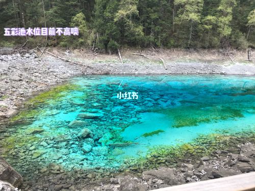 五彩池站攻略_避暑_景点_九寨沟风景区攻略_旅行_九寨沟旅行_出行