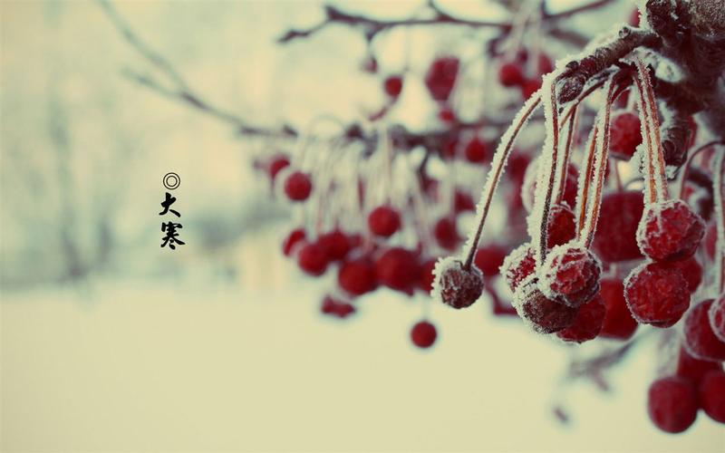 二十四节气大寒的图片唯美好看