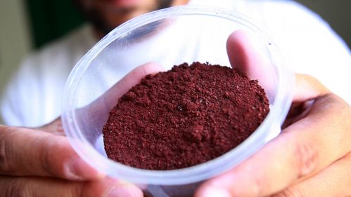 首页 养生图库 社会百态 胭脂虫红 它也被称为胭脂虫提取物或者是e120