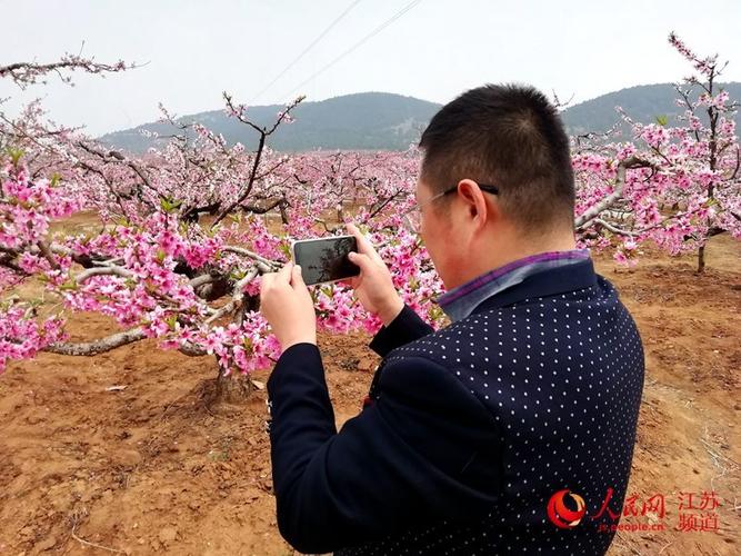 第十届徐州督公湖桃花节开幕万亩桃花迎客来