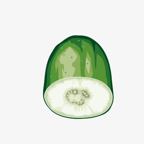 关键词 : 冬瓜,卡通冬瓜,蔬菜,矢量图,装饰,矢量装饰