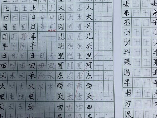 赵汝飞练字硬笔书法-价值200元私人定制体验课程免费抢