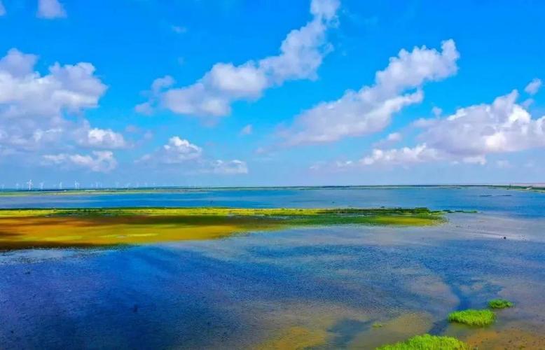 盐城黄海湿地世界自然遗产地