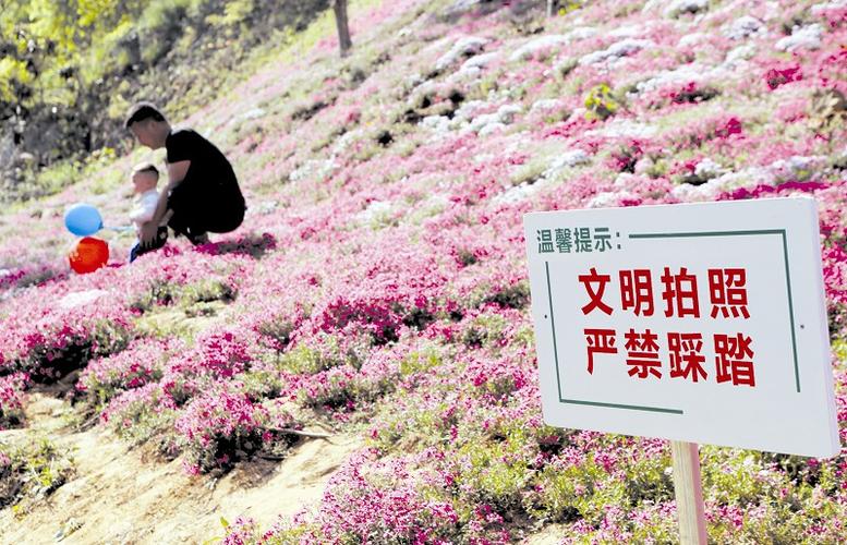 【不文明行为曝光台】践踏花草,太不应该!