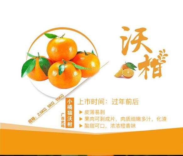 【汁家优选】新鲜上市绿色种植沃柑 美味之选 果肉饱满密实 细嫩无渣