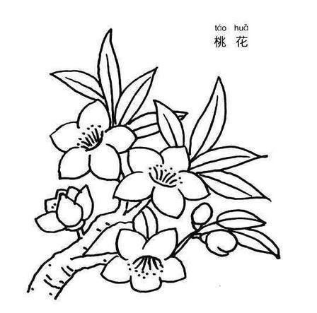儿童画桃花简笔画大全