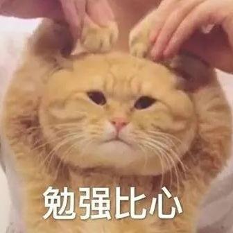 废是真的废,但我还想挣扎一下:) 很喜欢此图片