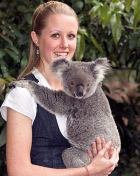 澳洲旅游 布里斯班 lone pine koala sanctuary龙柏考拉保护中心