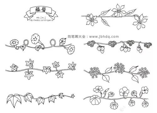 一组植物藤蔓手帐素材,素材内容包含了:爬壁虎,牵牛花,葡萄藤,草莓藤