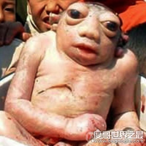 1,多佛恶魔2,河童(水鬼)3,五头蛇4,爱兰青蛙人5,独角兽6,卓柏卡布拉7