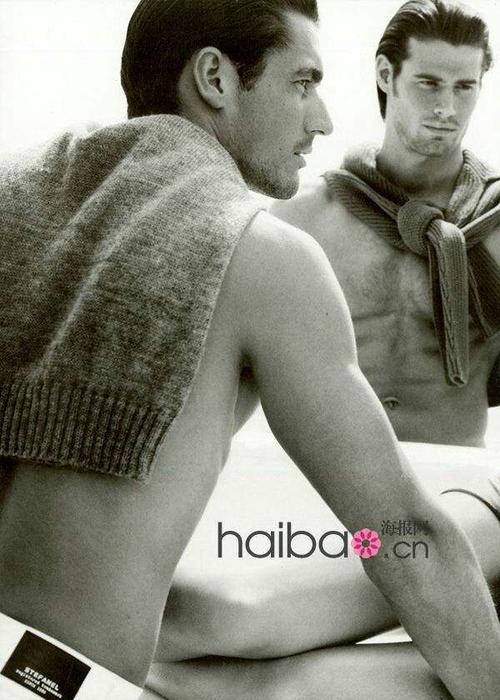 其它 酷男(二) 大卫 · 甘迪 写美篇 大卫·甘迪 大卫·甘迪(david