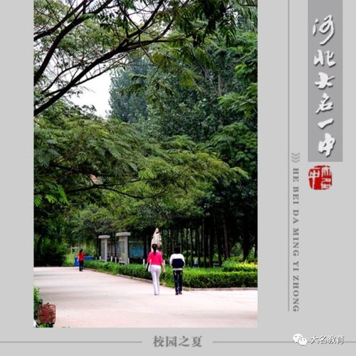 河北大名一中欢迎您!