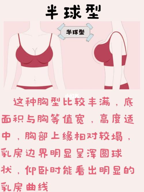 听说,99%的女生都不知道自己是什么胸型98 16615半球形 266