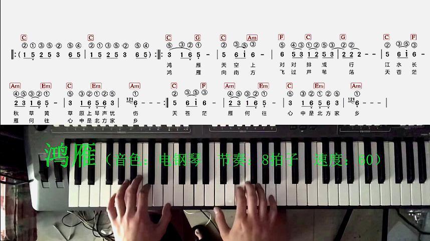 成人零基础学电子琴:手把手教你弹《鸿雁》
