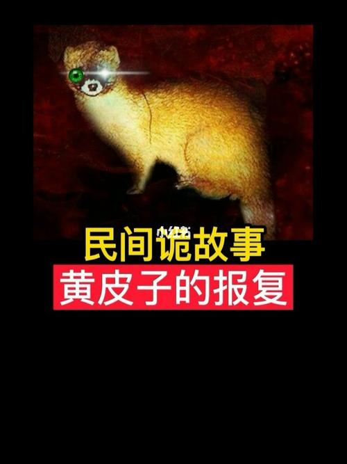 不要碰黄鼠狼,真的很恐怖._未解之谜_社科_生活科普