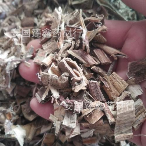 中药材祖师麻祖师麻草