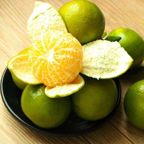 皇帝柑_皇帝柑苗