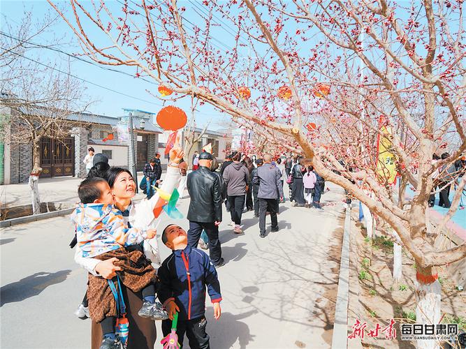 游客在金塔镇红光村杏花街游览