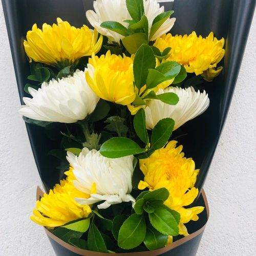 清明节黄白菊花鲜花真花花束文明祭祀扫墓纪念逝者黄菊白菊可搭配