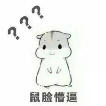 小仓鼠表情包