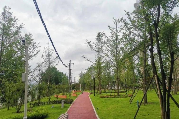 分别是:迎曦公园,西河梅园,栖霞公园,黄家坝滨水公园 发现达城在规划