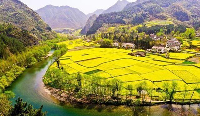 汉中油菜花即将盛开!这片梦境中的花海,不比江西婺源差