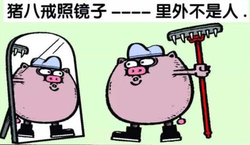 猪八戒照镜子_猪八戒照镜子的下一句是什么? - 早旭阅读