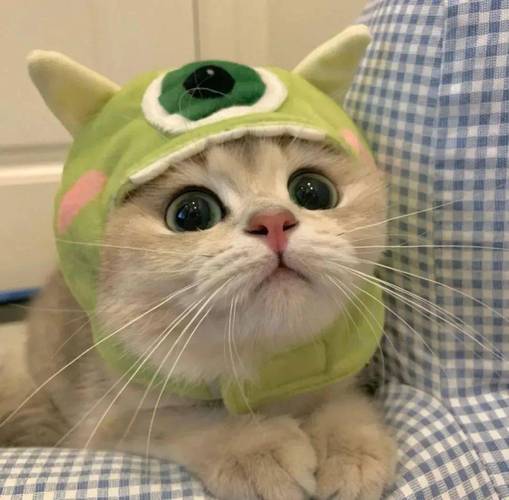 可爱搞怪的微信头像