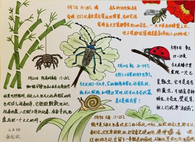 奉贤区青少年自然笔记获奖作品展来啦