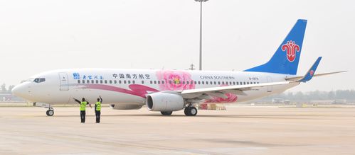 河南省文化和旅游厅厅长姜继鼎,郑州航空港经济综合实验区管委会副