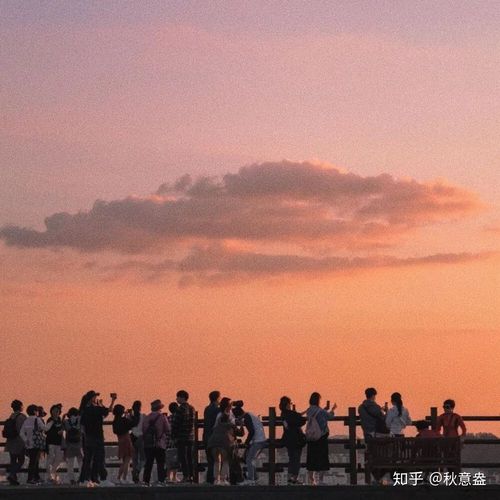 《双向诱捕》by桃李不言 双向诱捕txt阅读全文未删 楼擎 舒虞