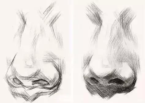 素描鼻子的技法和步骤