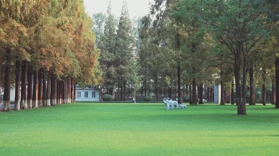 青岛农业大学海都学院2019年单独招生章程