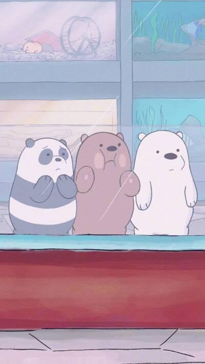 热血灰熊grizzly 宅男熊猫panda 全能白熊ice bear