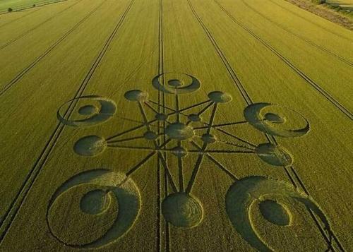 世界上的麦田怪圈是人为造成的,还是真有外星人?