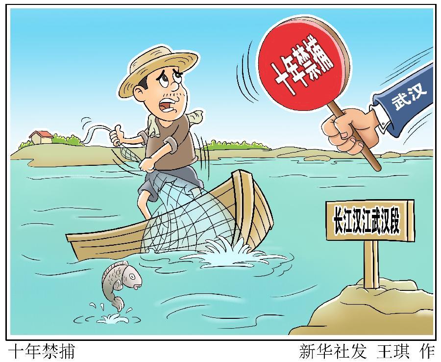 长江武汉段及汉江武汉段1日起实施十年禁捕